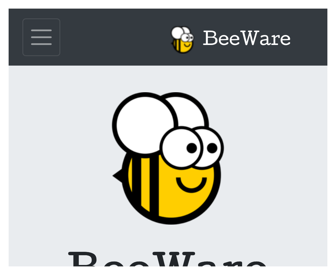 WebView on iOS
